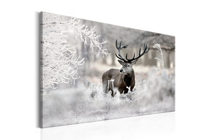 Tavla Lonely Deer 90x60, Artgeist sp. z o. o.