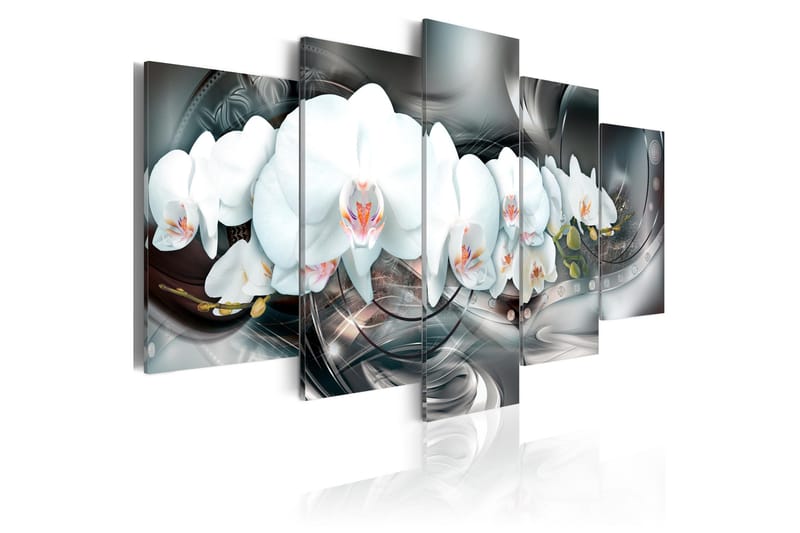Tavla Magical Orchid 100x50, Artgeist sp. z o. o.