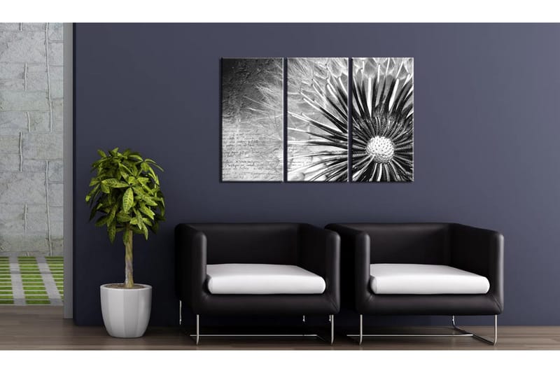 Tavla Maskros Svart Och Vitt 120x80 - Artgeist sp. z o. o. - Inredning & dekor - Tavlor & konst - Canvastavla