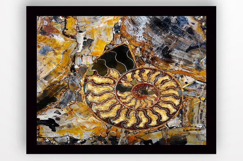 Tavla Med Ram Flerfärgad 41X56 - 41x56 cm - Inredning & dekor - Tavlor & konst