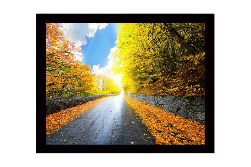 Tavla med Ram Flerfärgad, 41x56 cm