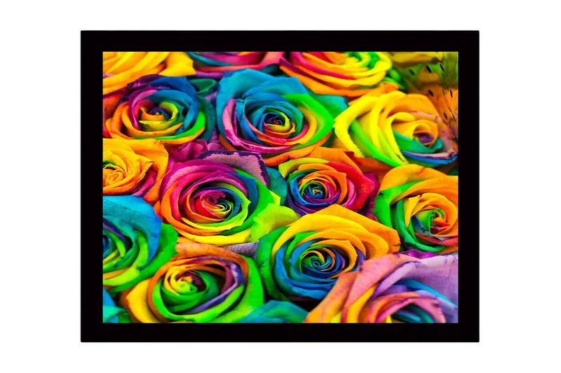 Tavla med Ram Flerfärgad, 41x56 cm