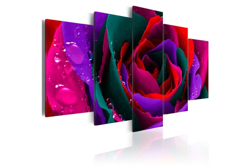 Tavla Multicoloured Rose 100x50, Artgeist sp. z o. o.