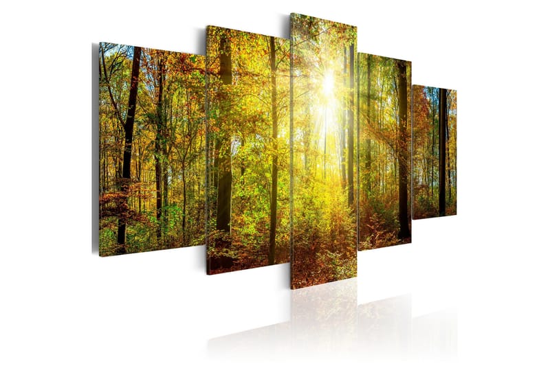 Tavla Mystical Forest 200x100, Artgeist sp. z o. o.
