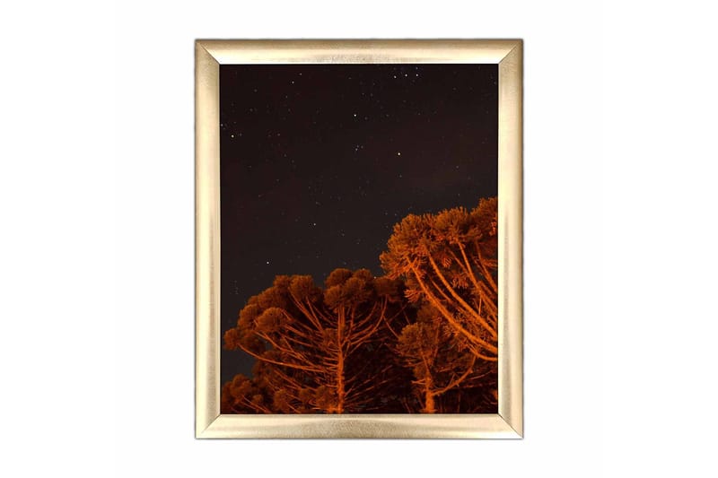 Tavla Nautical med Ram Flerfärgad - 23,5x28,5 cm - Inredning & dekor - Tavlor & konst