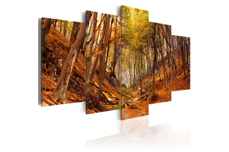 Tavla Orange Autumn 200x100, Artgeist sp. z o. o.