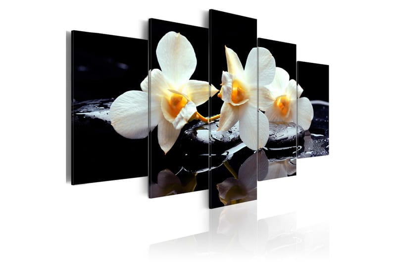 Tavla Orchids With Orange Accent 100x50, Artgeist sp. z o. o.