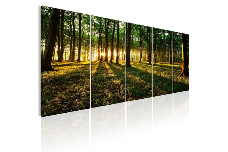 Tavla Shade Of Trees 225x90, Artgeist sp. z o. o.