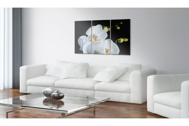 Tavla Snöig Orkidé 120x80 - Artgeist sp. z o. o. - Inredning & dekor - Tavlor & konst - Canvastavla