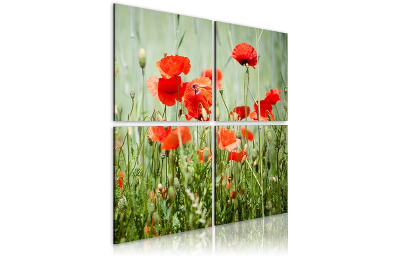 Tavla Springtime 80x80 - Artgeist sp. z o. o. - Inredning & dekor - Tavlor & konst - Canvastavla