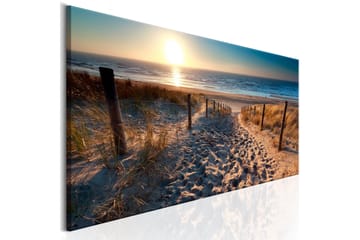 Tavla Sunset Path 150x50 - Inredning & dekor - Tavlor & konst - Canvastavla