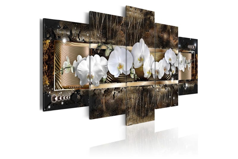 Tavla The Dream Of A Orchids 200x100, Artgeist sp. z o. o.