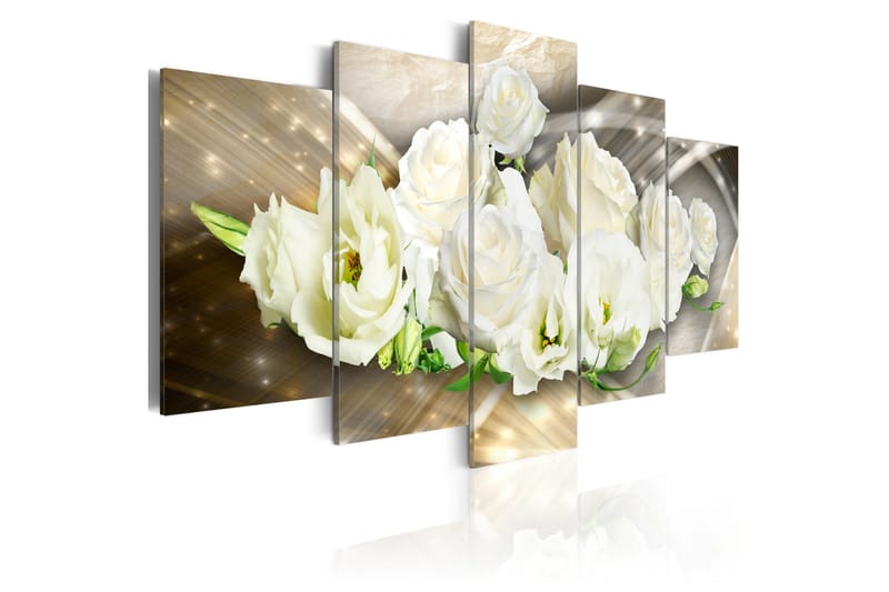 Tavla The Light Of Rose 100x50, Artgeist sp. z o. o.