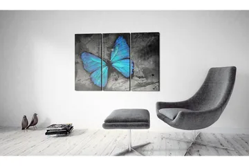 Tavla The Study Of Butterfly Triptych 60x40 - Artgeist sp. z o. o. - Inredning & dekor - Tavlor & konst - Canvastavla