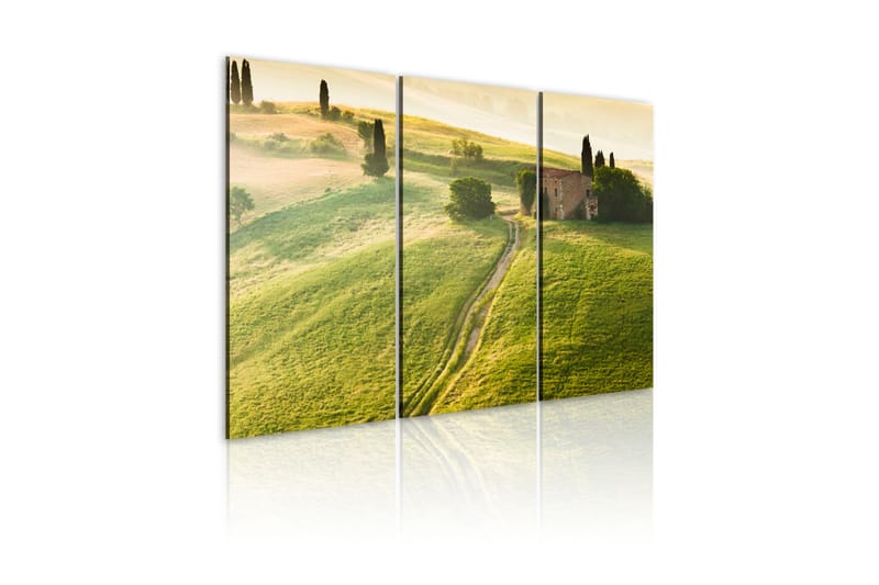Tavla Under The Tuscan Sun 120x80, Artgeist sp. z o. o.