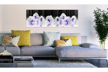 Tavla Water Orchids 135x45 - Artgeist sp. z o. o. - Inredning & dekor - Tavlor & konst - Canvastavla