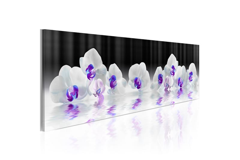 Tavla Water Orchids 135x45, Artgeist sp. z o. o.