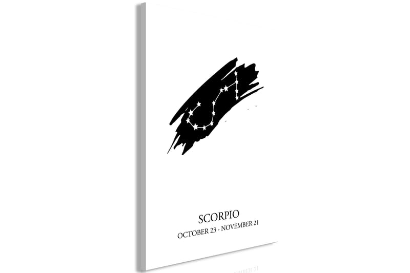 Tavla Zodiac Signs: Scorpio (1 Part) Vertical 40x60 - Artgeist sp. z o. o. - Inredning & dekor - Tavlor & konst - Canvastavla