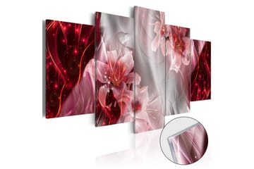 Tavla På Akryl Incarnadine Comet 100X50 Rosa|Röd