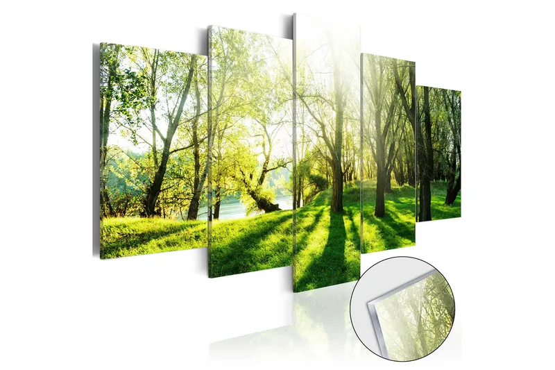 Tavla På Akryl Green Glade 100X50 Grön - Artgeist sp. z o. o. - Inredning & dekor - Tavlor & konst