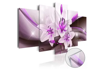 Tavla På Akryl Violet Desert Lily 100x50