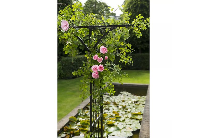 Nature Rosenbåge metall 114x66x232 cm svart - Svart - Inredning & dekor - Trädgårdsdekoration - Rosenbåge