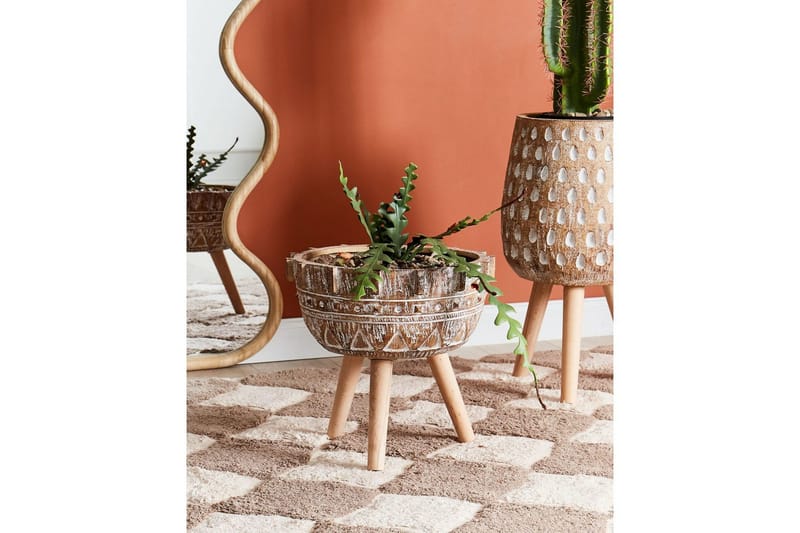 Trädgårdskruka Asplenium - Inredning & dekor - Trädgårdsdekoration - Utomhuskrukor - Blomkrukor