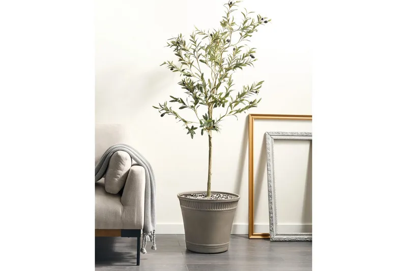 Trädgårdskruka Cistus - Inredning & dekor - Trädgårdsdekoration - Utomhuskrukor - Blomkrukor