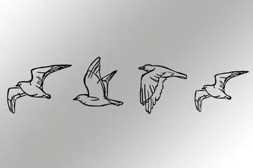 Birds Väggdekor - Svart - Inredning & dekor - Väggdekor - Skyltar - Plåtskylt