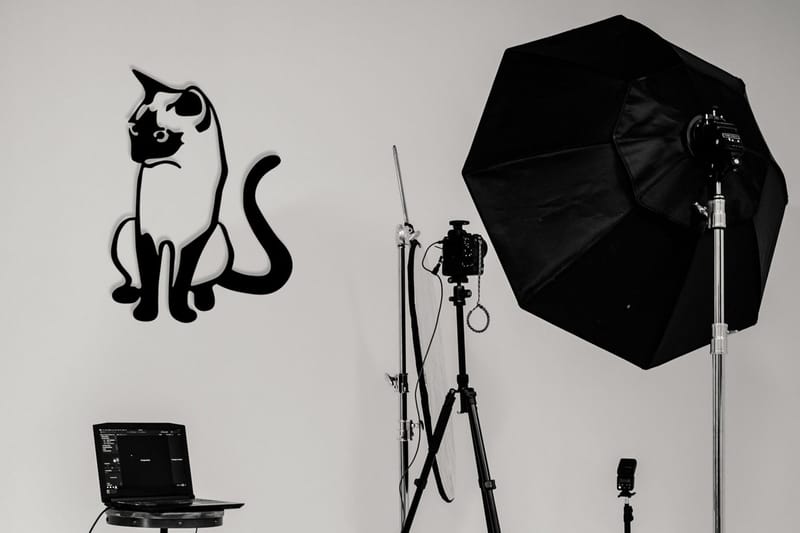 Cat 2 Metal Decor Väggdekor, Svart