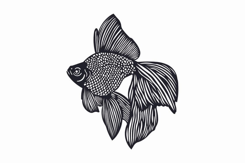 Salechard Skylt 50x60 cm VP Spain, Metall/Svart