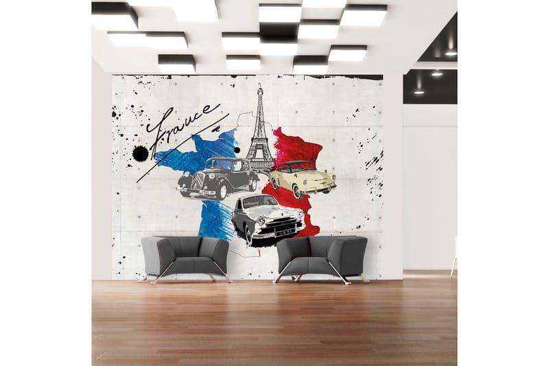 Fototapet Admirer Of Cars France 250x193 - Artgeist sp. z o. o. - Inredning & dekor - Väggdekor - Tapeter & tapettillbehör - Fototapeter
