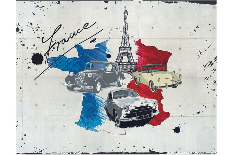 Fototapet Admirer Of Cars France 350x270, Artgeist sp. z o. o.