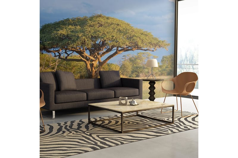 FOTOTAPET Afrikansk Akacia Träd Hwange 200x154 - Artgeist sp. z o. o. - Inredning & dekor - Väggdekor - Tapeter & tapettillbehör - Fototapeter
