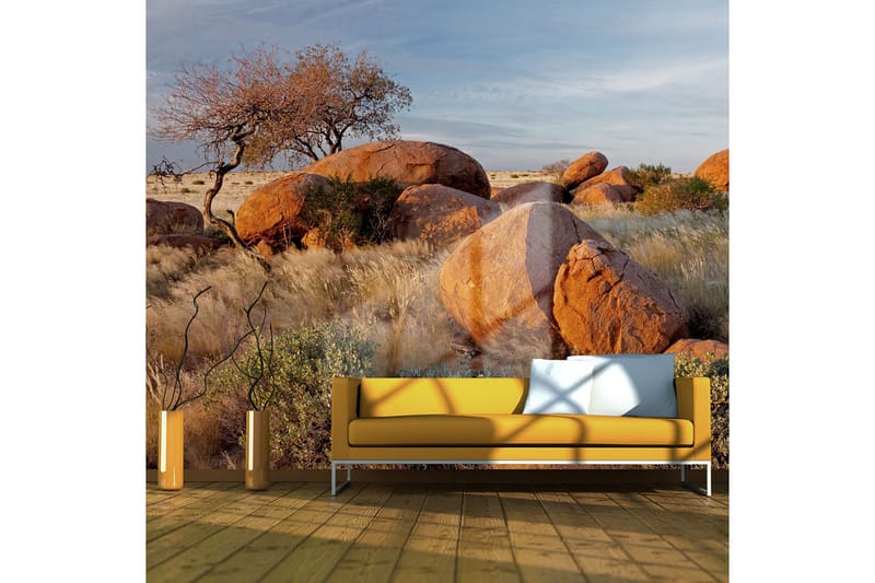 Fototapet Afrikanska Landskapet Namibia 250x193 - Artgeist sp. z o. o. - Inredning & dekor - Väggdekor - Tapeter & tapettillbehör - Fototapeter