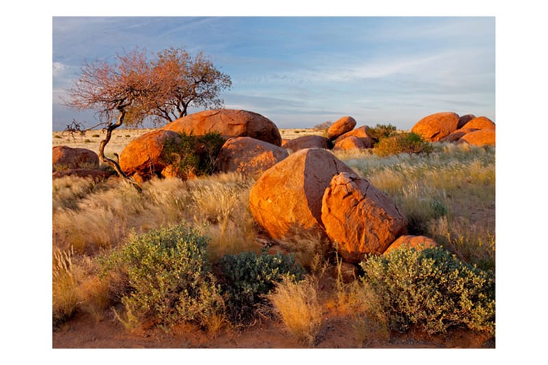 FOTOTAPET Afrikanska Landskapet Namibia 400x309 - Artgeist sp. z o. o. - Inredning & dekor - Väggdekor - Tapeter & tapettillbehör - Fototapeter