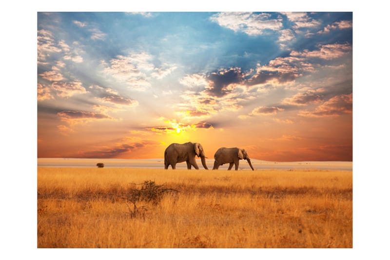 FOTOTAPET Afrikanska Savannen Elefanter 300x231 - Artgeist sp. z o. o. - Inredning & dekor - Väggdekor - Tapeter & tapettillbehör - Fototapeter