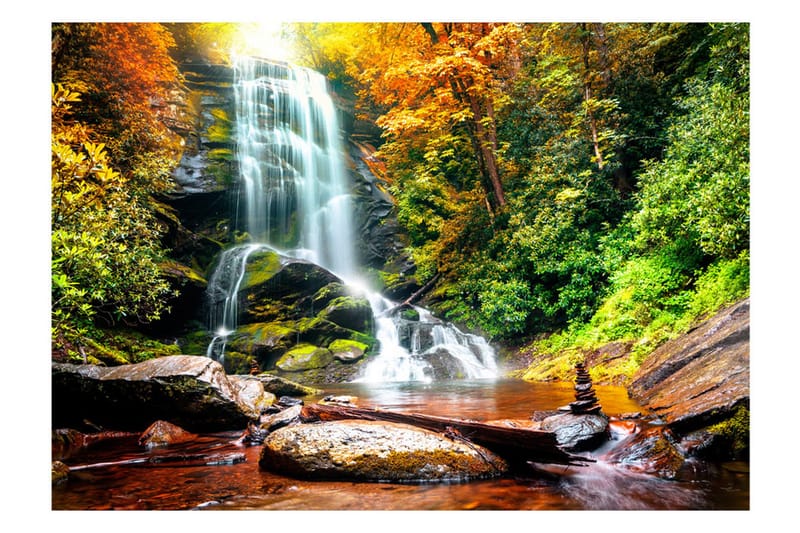 Fototapet Amazing Wonder Of Nature 100x70, Artgeist sp. z o. o.