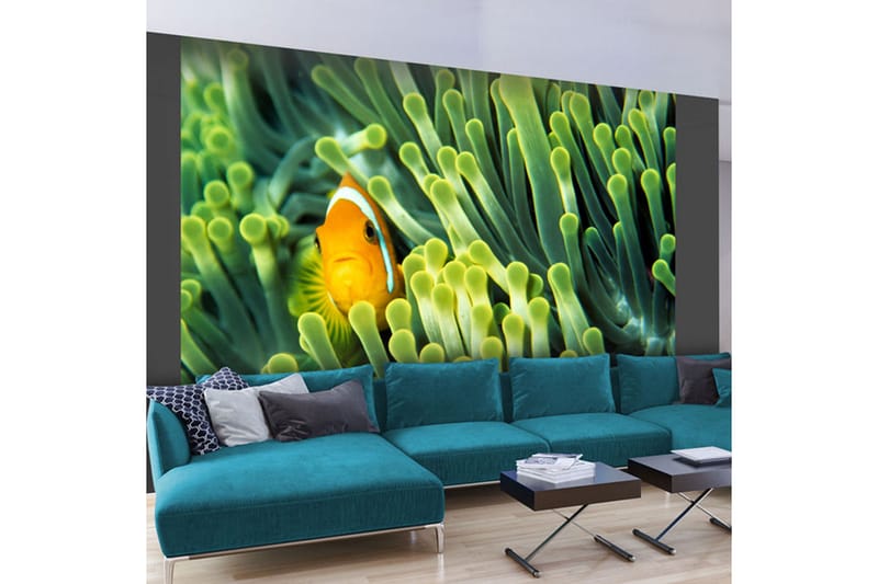 FOTOTAPET Anemonefish 400x309 - Artgeist sp. z o. o. - Inredning & dekor - Väggdekor - Tapeter & tapettillbehör - Fototapeter