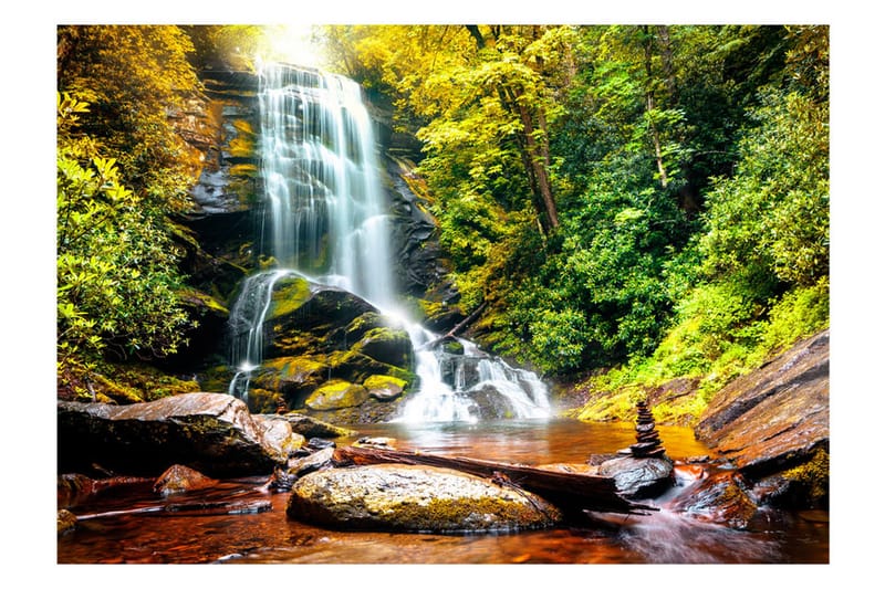 FOTOTAPET Another Wonder Of Nature 200x140, Artgeist sp. z o. o.