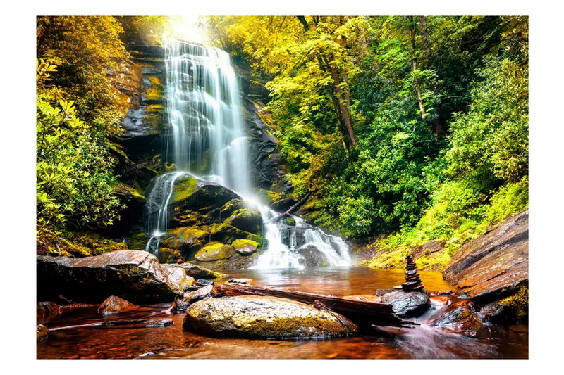 Fototapet Another Wonder Of Nature 300x210, Artgeist sp. z o. o.