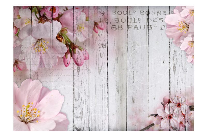 FOTOTAPET Apple Blossoms 250x175 - Artgeist sp. z o. o. - Inredning & dekor - Väggdekor - Tapeter & tapettillbehör - Fototapeter