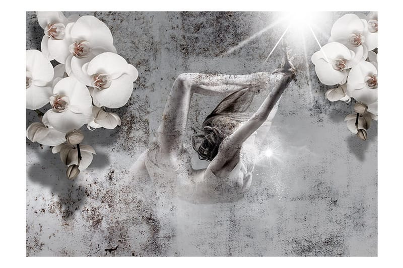 Fototapet Arrangement With Orchid 150x105 - Artgeist sp. z o. o. - Inredning & dekor - Väggdekor - Tapeter & tapettillbehör - Fototapeter