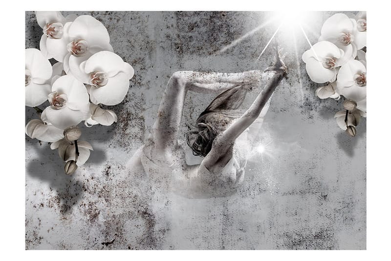 FOTOTAPET Arrangement With Orchid 350x245 - Artgeist sp. z o. o. - Inredning & dekor - Väggdekor - Tapeter & tapettillbehör - Fototapeter