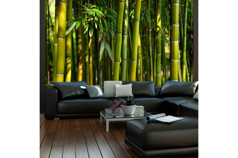FOTOTAPET Asiatisk Bambuskog 300x231 - Artgeist sp. z o. o. - Fototapeter