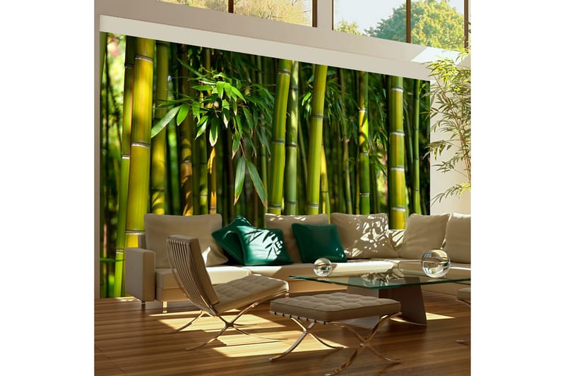 Fototapet Asiatisk Bambuskog 450x270, Artgeist sp. z o. o.