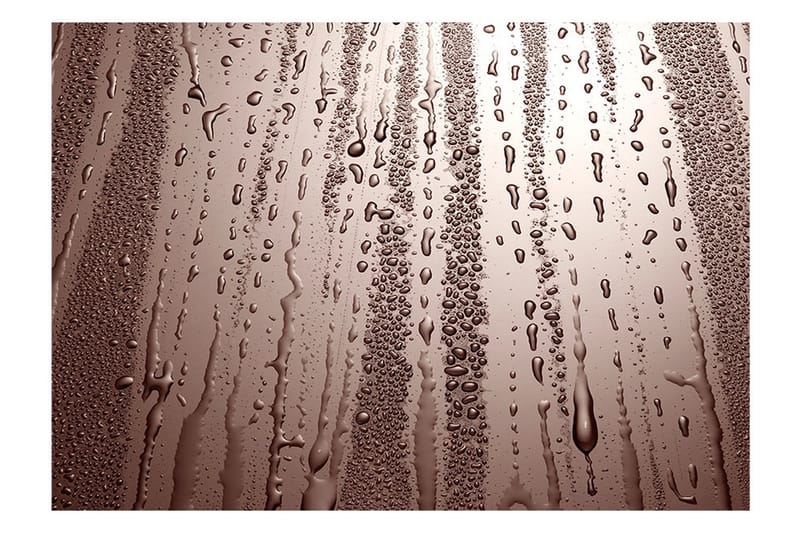 Fototapet Autumn Drizzle 300x210 - Artgeist sp. z o. o. - Inredning & dekor - Väggdekor - Tapeter & tapettillbehör - Fototapeter