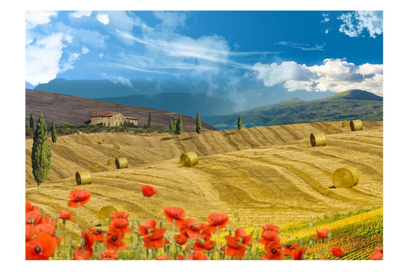 Fototapet Autumn Landscape 350x245 - Artgeist sp. z o. o. - Inredning & dekor - Väggdekor - Tapeter & tapettillbehör - Fototapeter