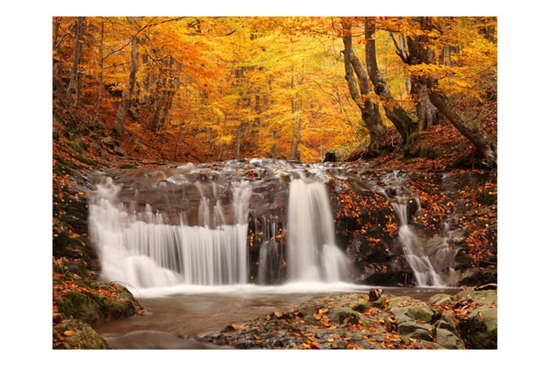 FOTOTAPET Autumn Landscape Waterfall In Forest 200x154 - Artgeist sp. z o. o. - Inredning & dekor - Väggdekor - Tapeter & tapettillbehör - Fototapeter