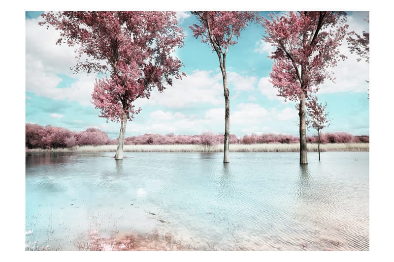 Fototapet Autumn Scenery 400x280 - Artgeist sp. z o. o. - Inredning & dekor - Väggdekor - Tapeter & tapettillbehör - Fototapeter